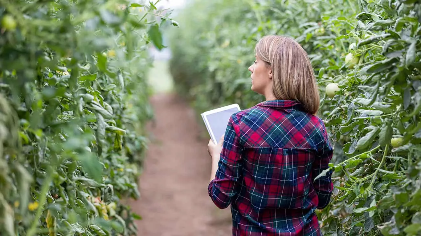 Agroalimentaire : comment gérer un rappel produit grâce à son système d’information ?