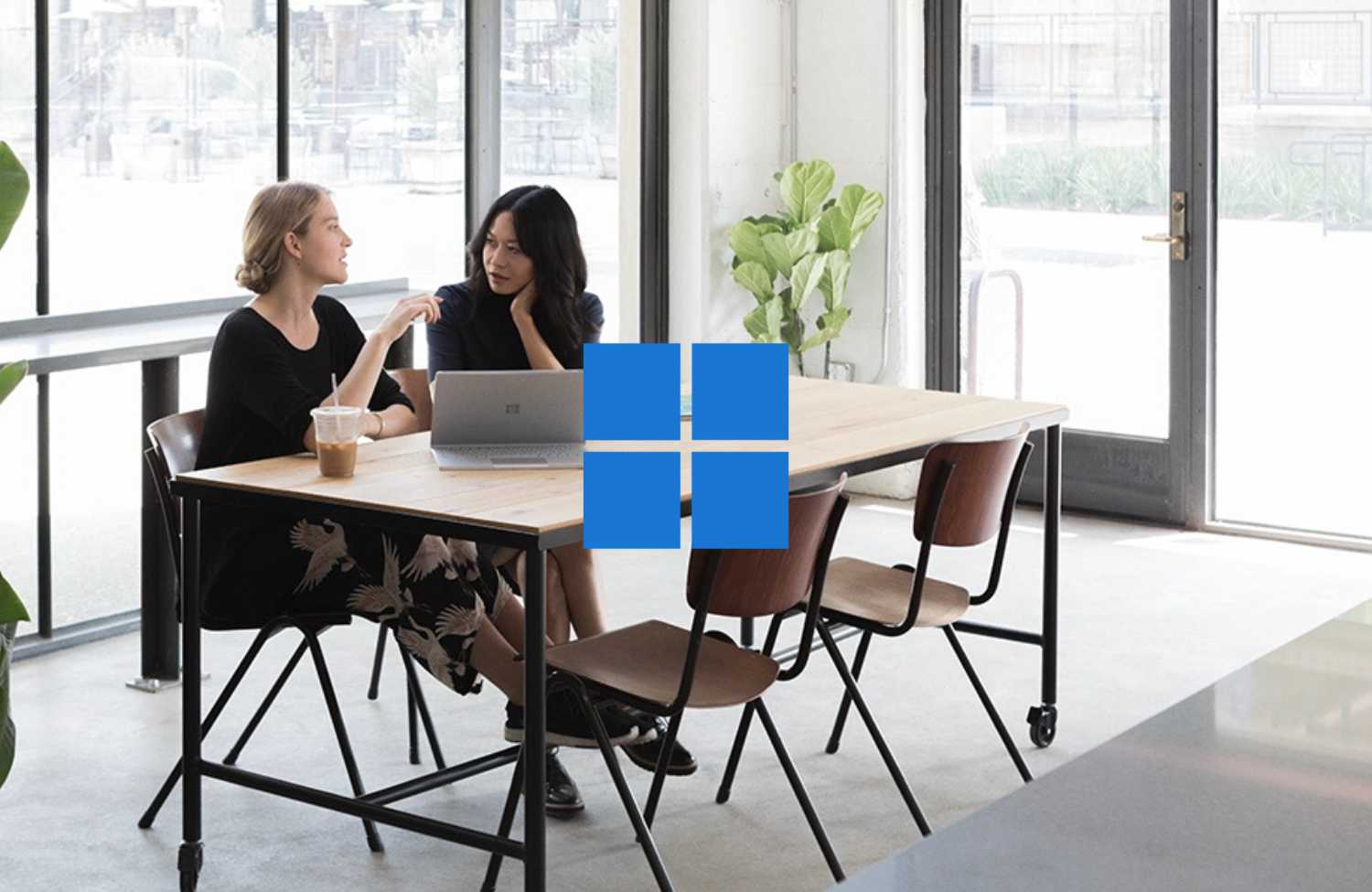 Windows 11