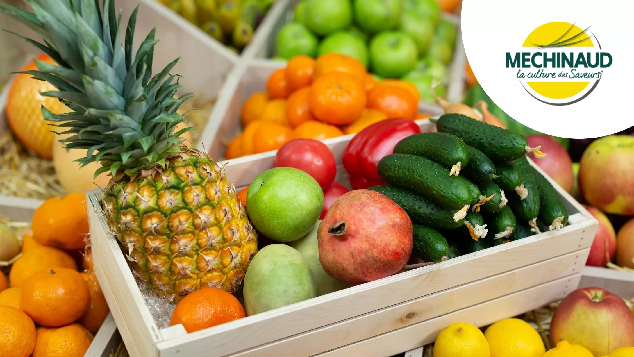 Témoignage ERP Distribution Retail avec Méchinaud
