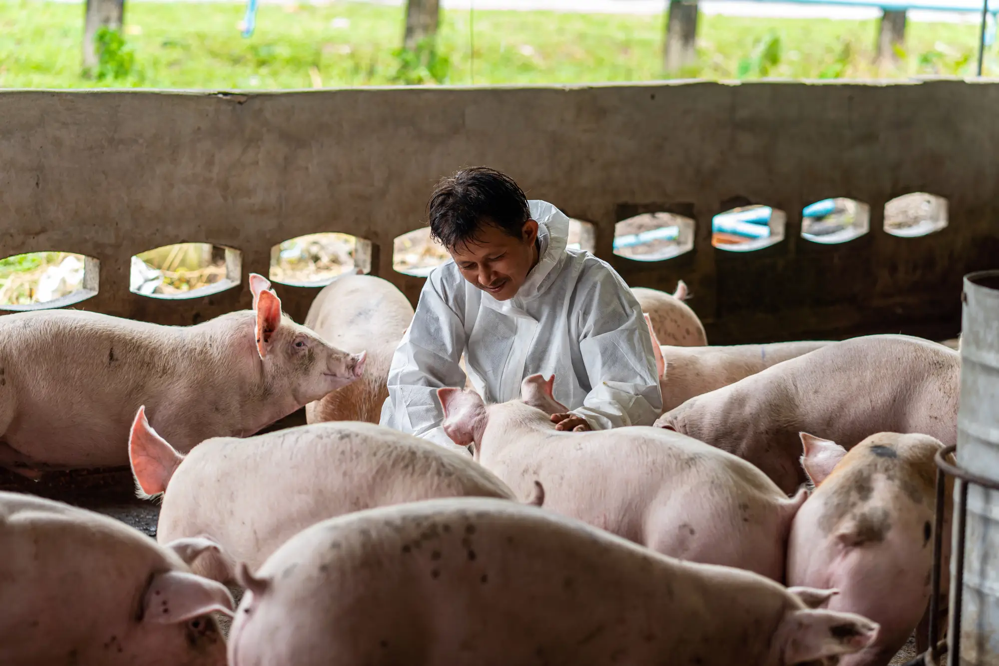 Témoignage ERP production à l'international agroalimentaire avec Cooperl