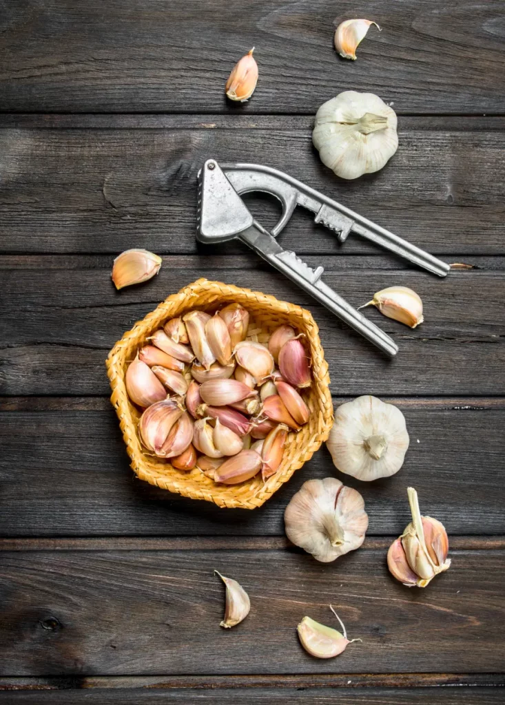 Témoignage ERP Food avec Ail Ail Ail