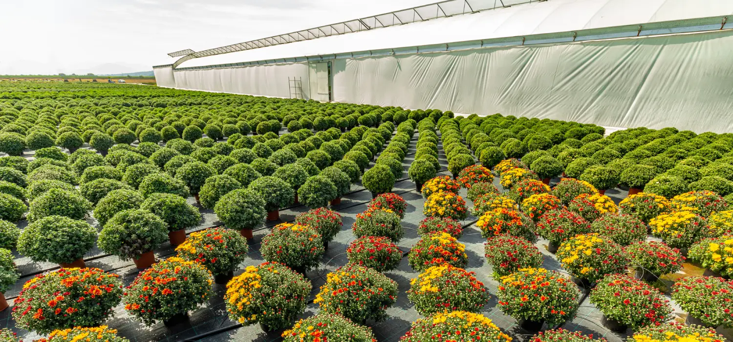 Témoignage ERP Grossiste Fournisseur GMS avec Cerdys