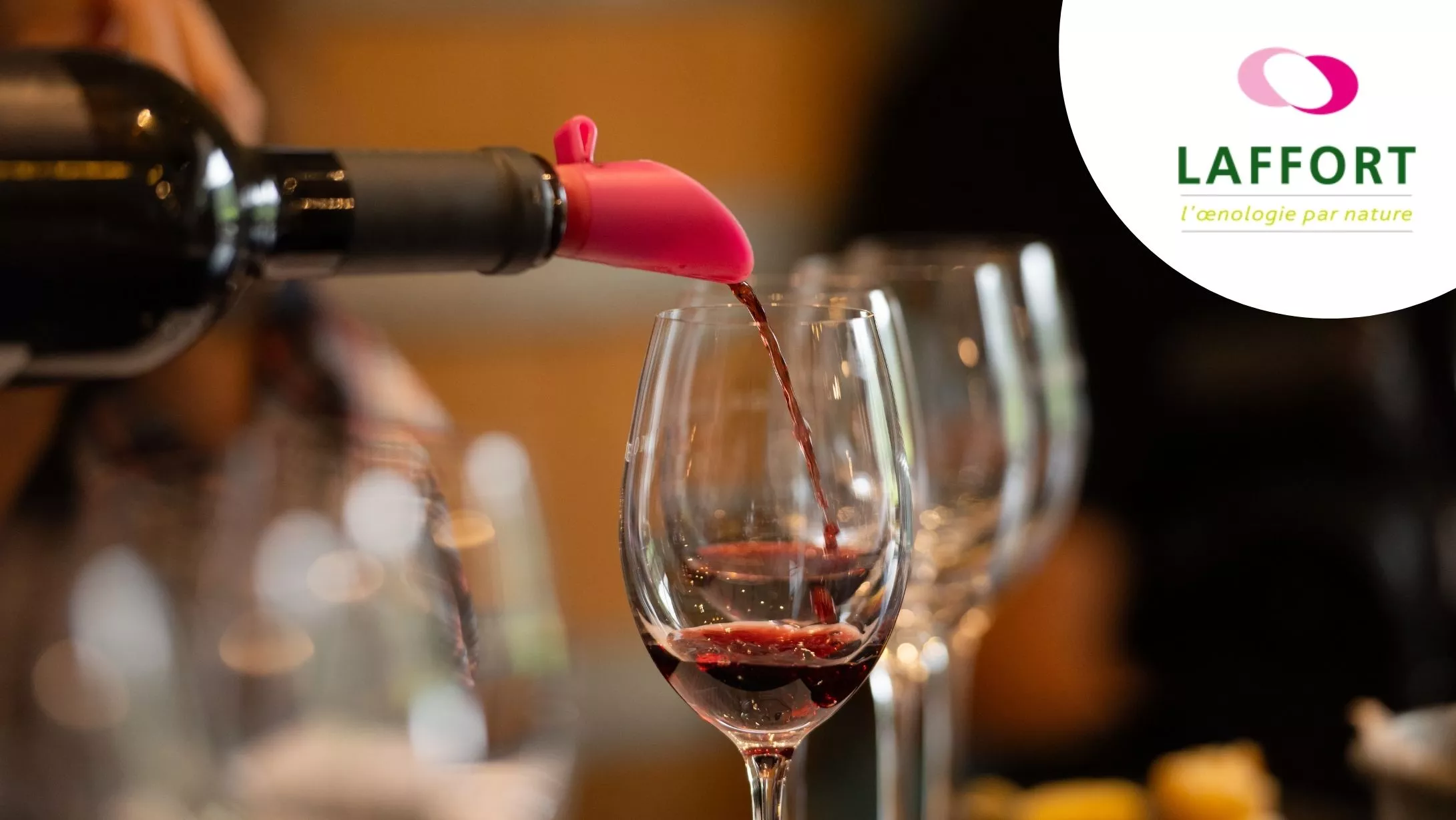 Témoignage ERP Vin avec LAFFORT œnologie