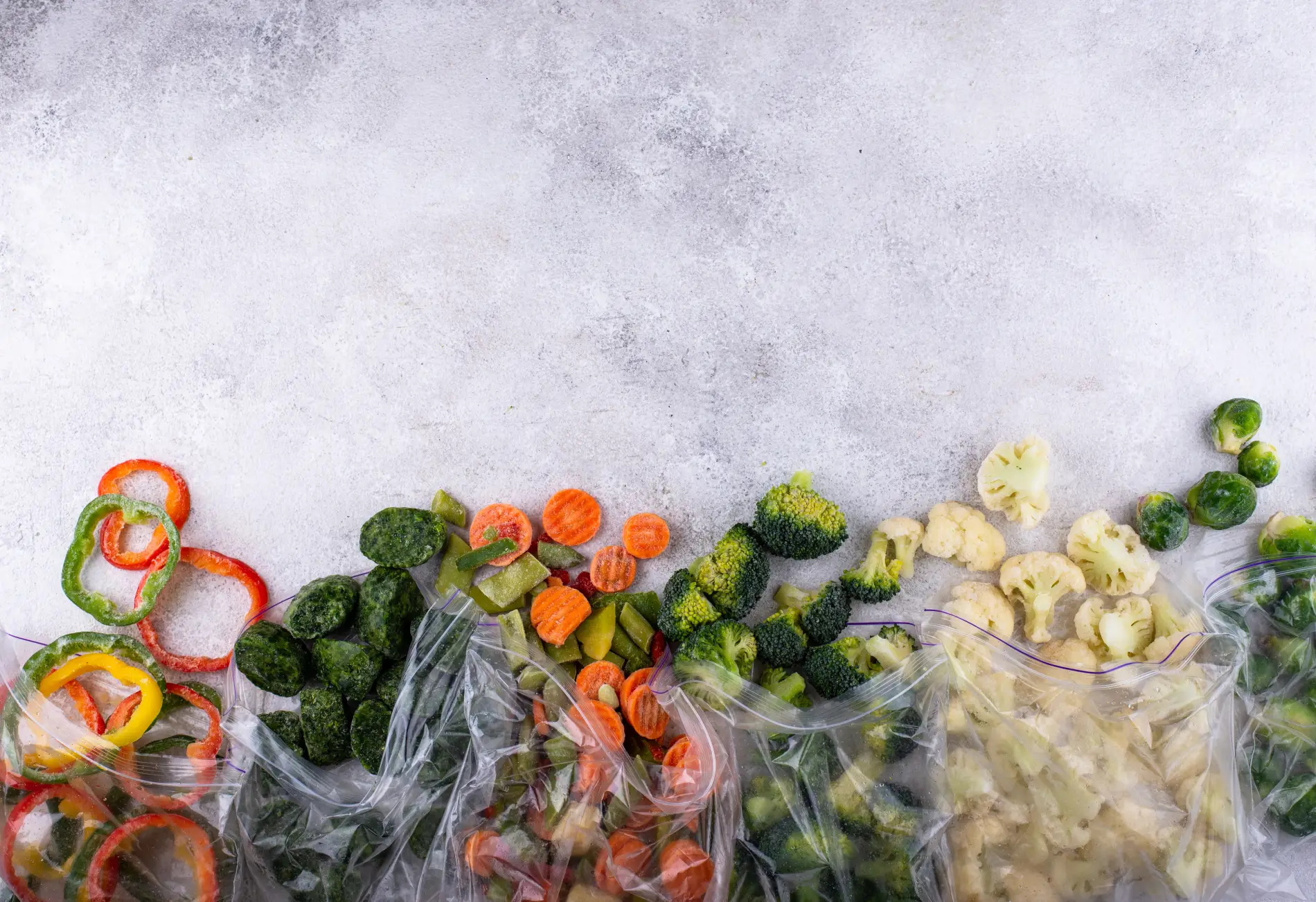 Témoignage Migration ERP avec Vegetal Solutions