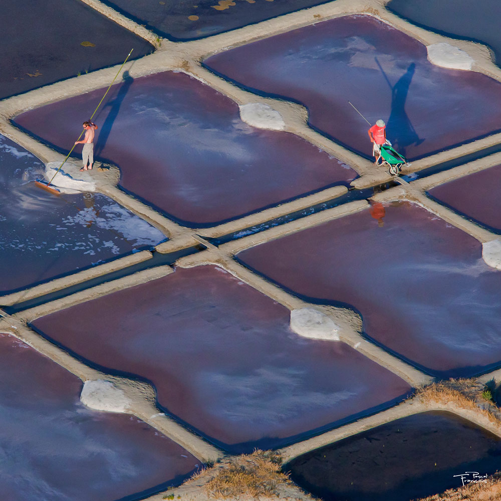 marais salants guérande