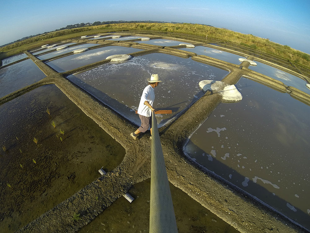 salines de guérande