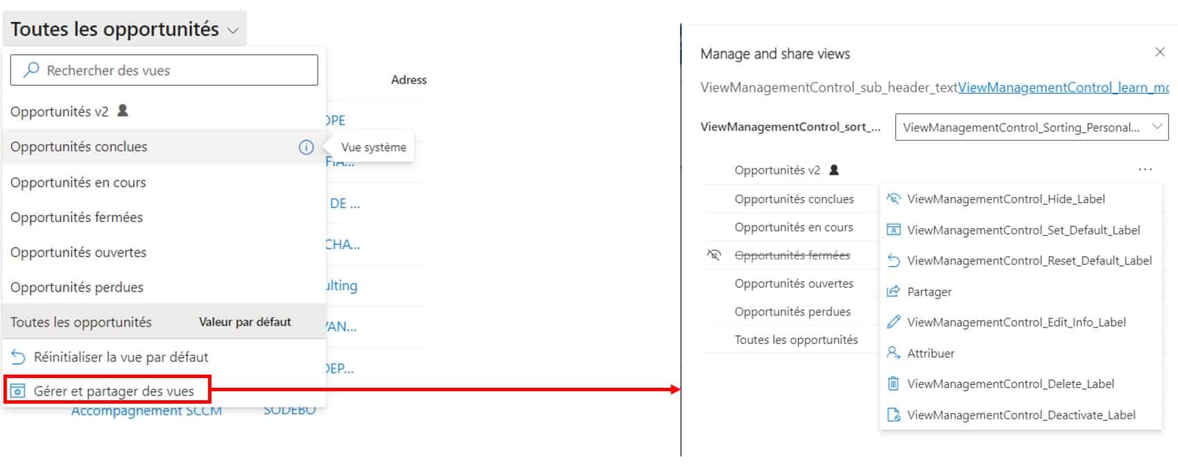 gestion des vues CRM dynamics 365