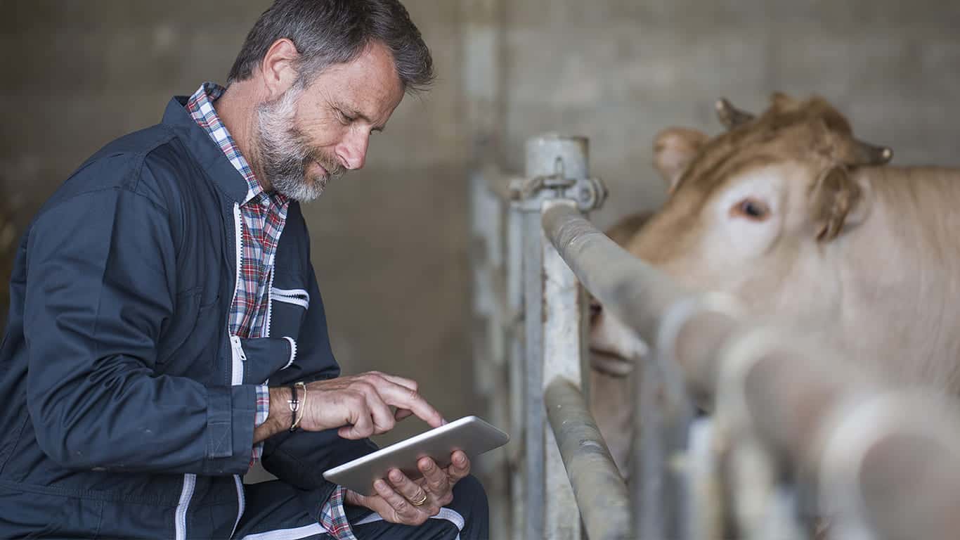 ecommerce produits agricoles