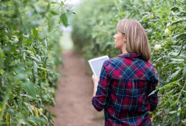 agroalimentaire rappel produit erp